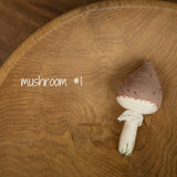 Newborn Fall Decor Autumn Photo Props, Newborn Pumpkin Decor, Newborn Mushroom Photo Prop, Newborn Photography Props Set, Carrot Fabric Toy