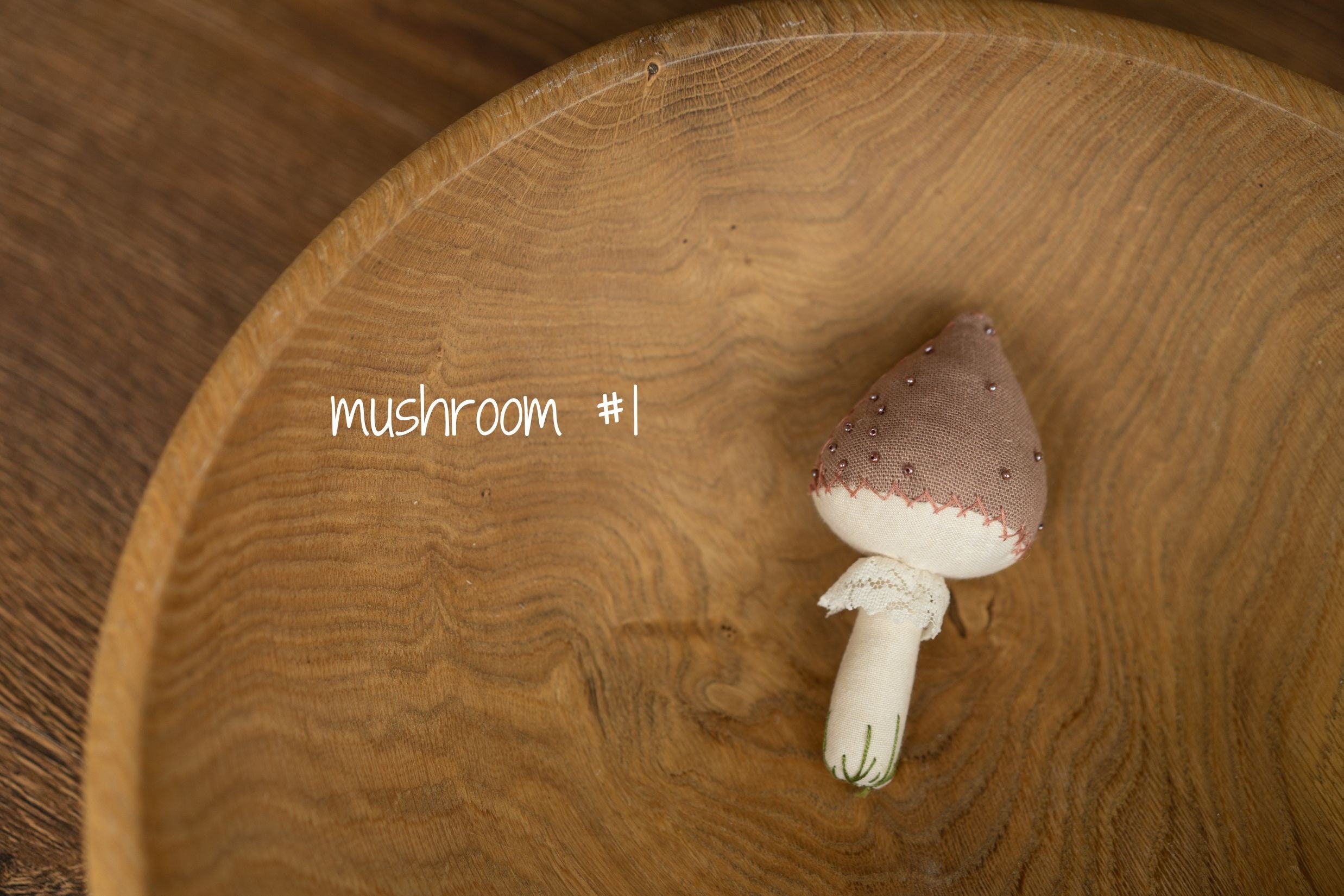 Newborn Fall Decor Autumn Photo Props, Newborn Pumpkin Decor, Newborn Mushroom Photo Prop, Newborn Photography Props Set, Carrot Fabric Toy