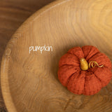 Newborn Fall Decor Autumn Photo Props, Newborn Pumpkin Decor, Newborn Mushroom Photo Prop, Newborn Photography Props Set, Carrot Fabric Toy