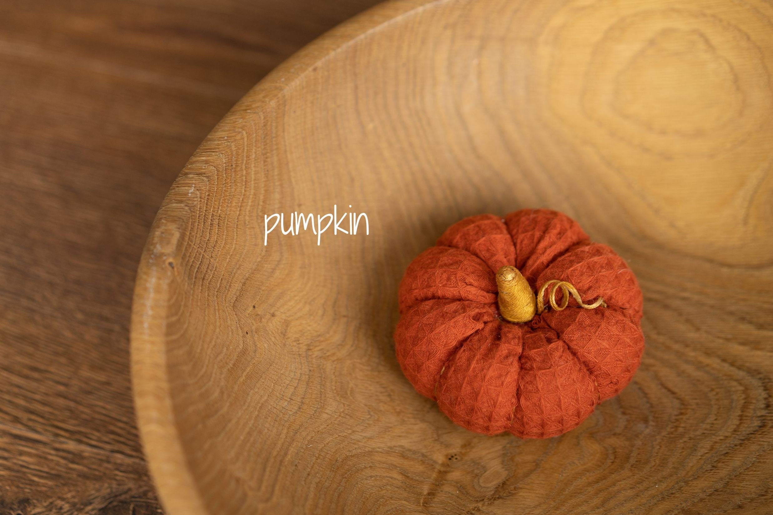 Newborn Fall Decor Autumn Photo Props, Newborn Pumpkin Decor, Newborn Mushroom Photo Prop, Newborn Photography Props Set, Carrot Fabric Toy