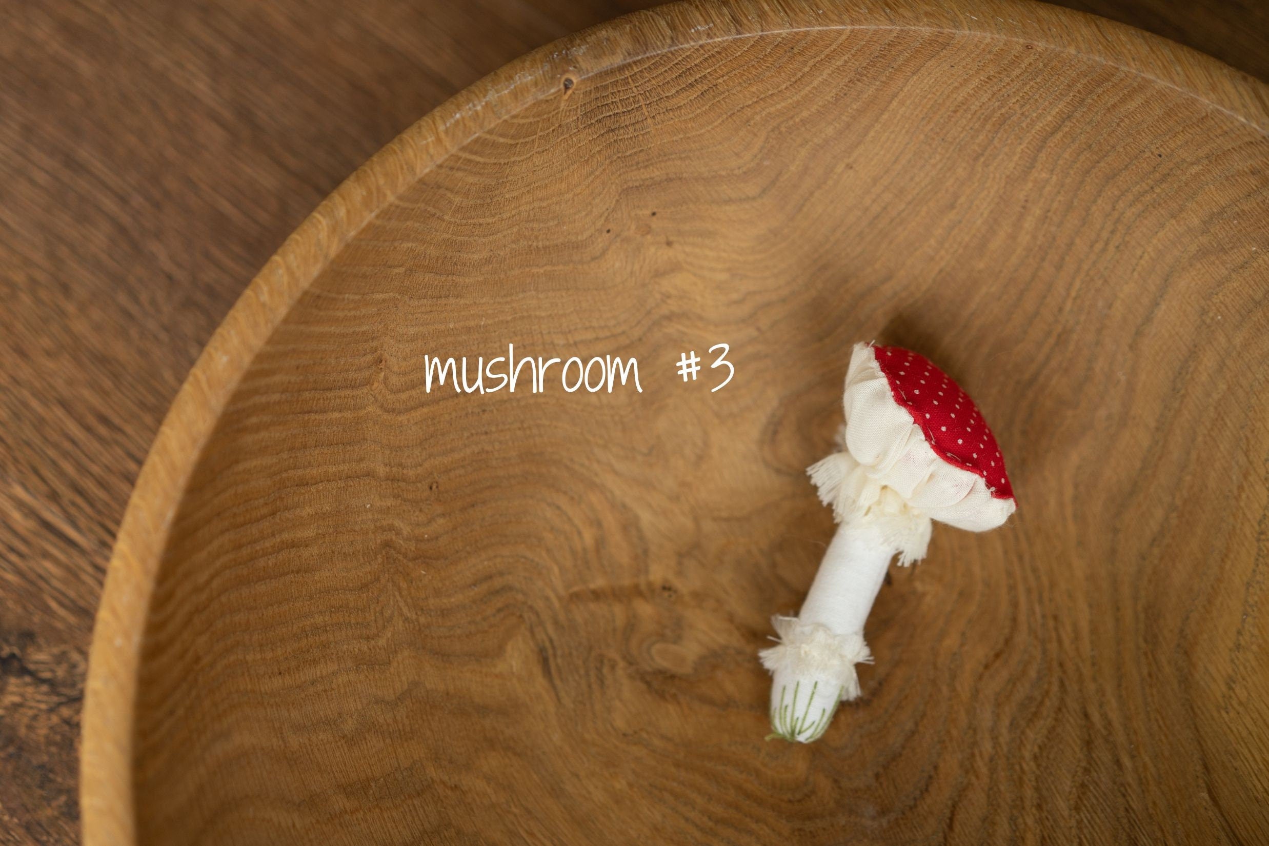Newborn Fall Decor Autumn Photo Props, Newborn Pumpkin Decor, Newborn Mushroom Photo Prop, Newborn Photography Props Set, Carrot Fabric Toy