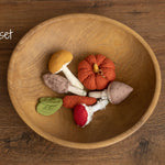 Newborn Fall Decor Autumn Photo Props, Newborn Pumpkin Decor, Newborn Mushroom Photo Prop, Newborn Photography Props Set, Carrot Fabric Toy