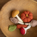 Newborn Fall Decor Autumn Photo Props, Newborn Pumpkin Decor, Newborn Mushroom Photo Prop, Newborn Photography Props Set, Carrot Fabric Toy