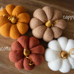 Pumpkin Thanksgiving Gift, Photography Pumpkins Fall Decor Autumn, Newborn Photography Prop, Newborn Fall Photo Props set Halloween Decor