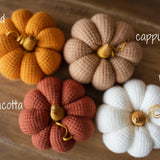 Pumpkin Thanksgiving Gift, Photography Pumpkins Fall Decor Autumn, Newborn Photography Prop, Newborn Fall Photo Props set Halloween Decor