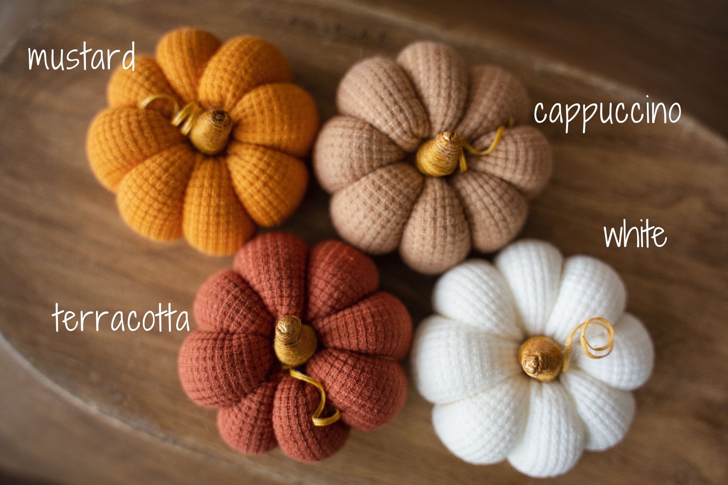 Pumpkin Thanksgiving Gift, Photography Pumpkins Fall Decor Autumn, Newborn Photography Prop, Newborn Fall Photo Props set Halloween Decor