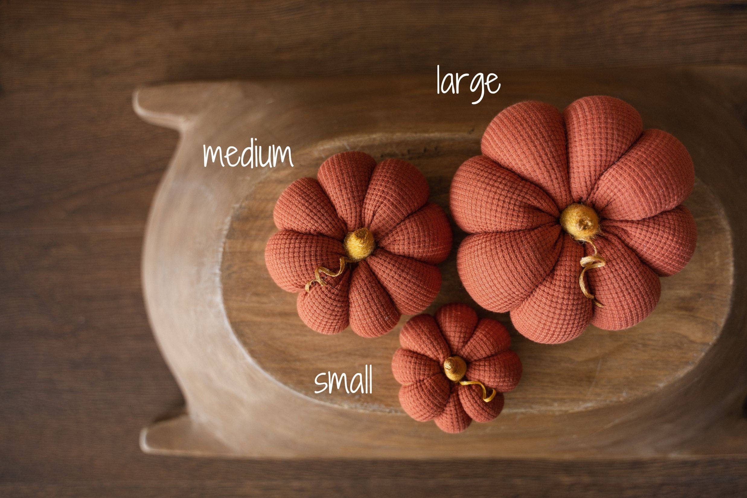 Pumpkin Thanksgiving Gift, Photography Pumpkins Fall Decor Autumn, Newborn Photography Prop, Newborn Fall Photo Props set Halloween Decor