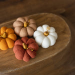 Pumpkin Thanksgiving Gift, Photography Pumpkins Fall Decor Autumn, Newborn Photography Prop, Newborn Fall Photo Props set Halloween Decor