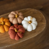 Pumpkin Thanksgiving Gift, Photography Pumpkins Fall Decor Autumn, Newborn Photography Prop, Newborn Fall Photo Props set Halloween Decor