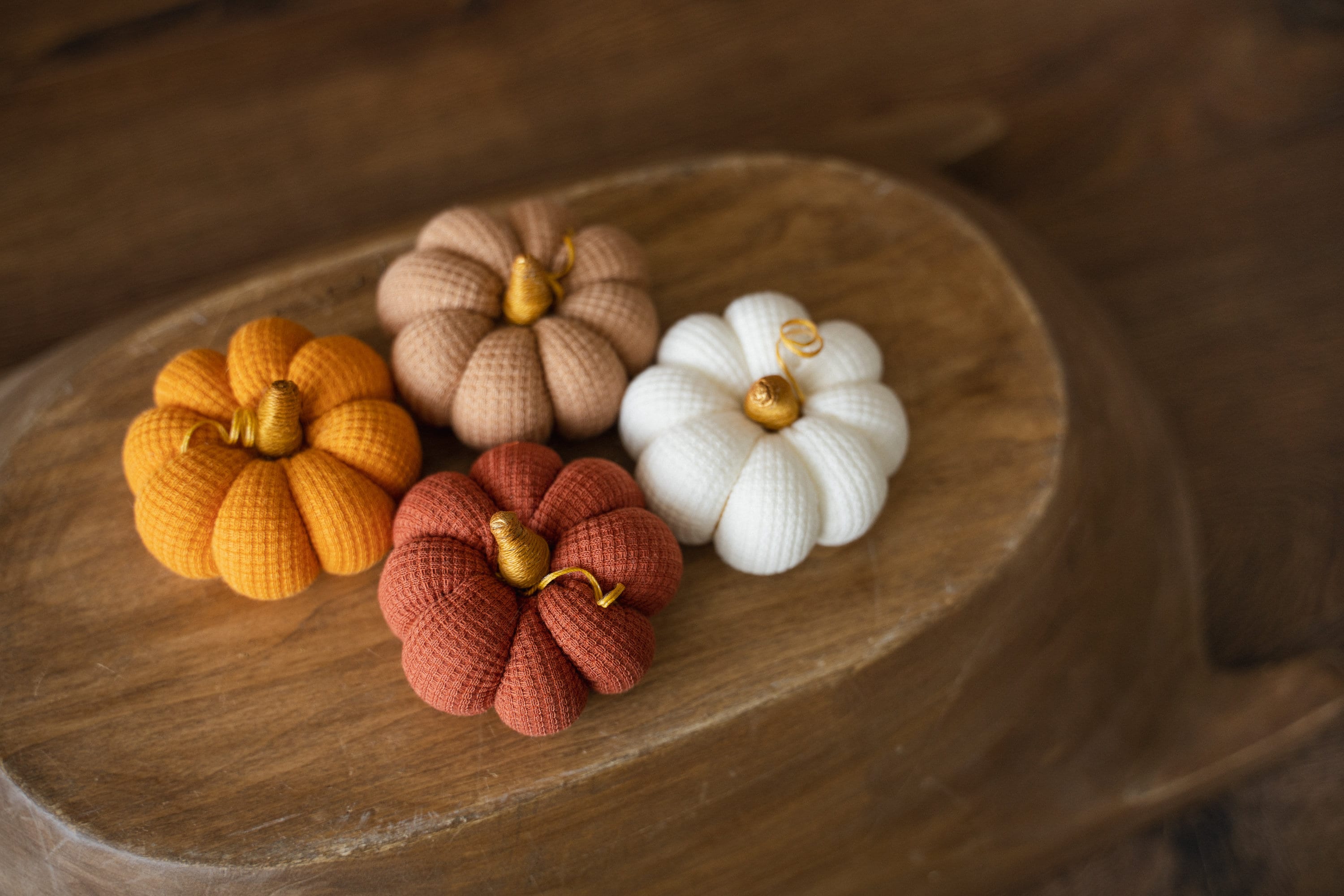 Pumpkin Thanksgiving Gift, Photography Pumpkins Fall Decor Autumn, Newborn Photography Prop, Newborn Fall Photo Props set Halloween Decor