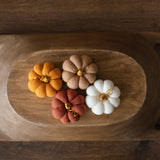 Pumpkin Thanksgiving Gift, Photography Pumpkins Fall Decor Autumn, Newborn Photography Prop, Newborn Fall Photo Props set Halloween Decor