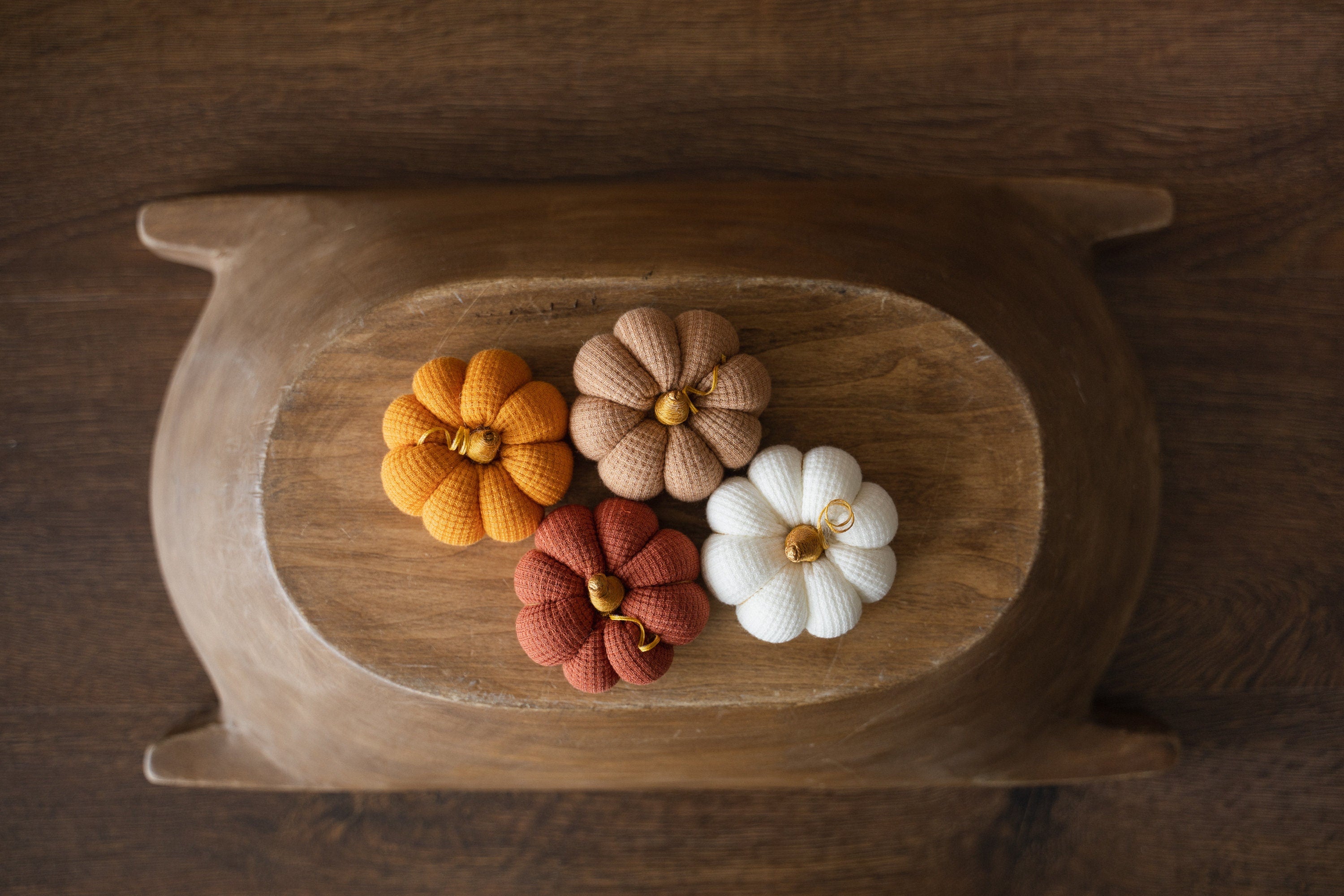 Pumpkin Thanksgiving Gift, Photography Pumpkins Fall Decor Autumn, Newborn Photography Prop, Newborn Fall Photo Props set Halloween Decor