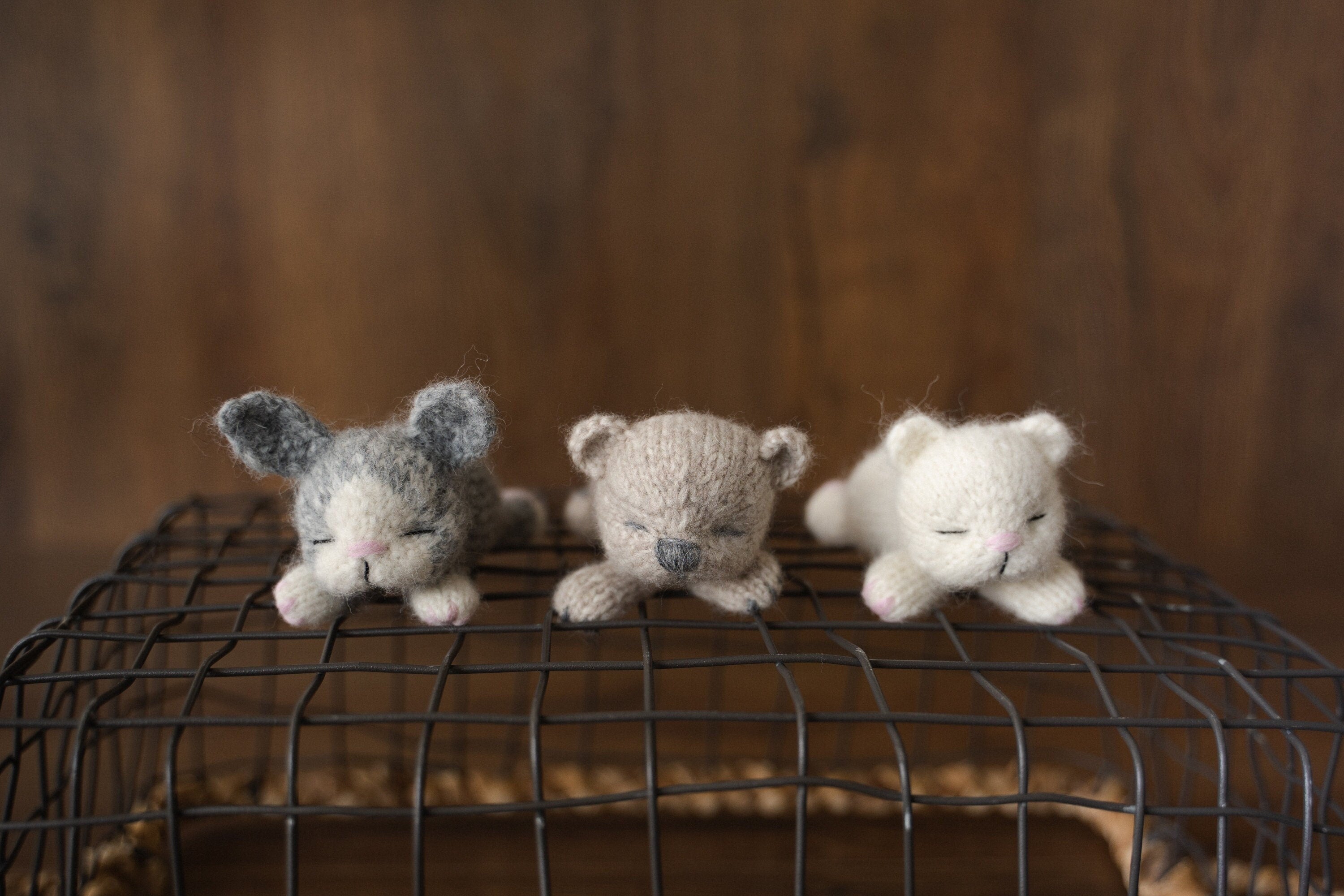 Newborn Knitted Animals Photography Props, Newborn Knit Teddy Bear, Newborn Knit Bunny Toy, Newborn Knit Kitten Toy, Baby Photography Props
