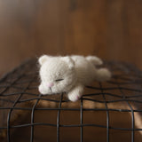 Newborn Knitted Animals Photography Props, Newborn Knit Teddy Bear, Newborn Knit Bunny Toy, Newborn Knit Kitten Toy, Baby Photography Props