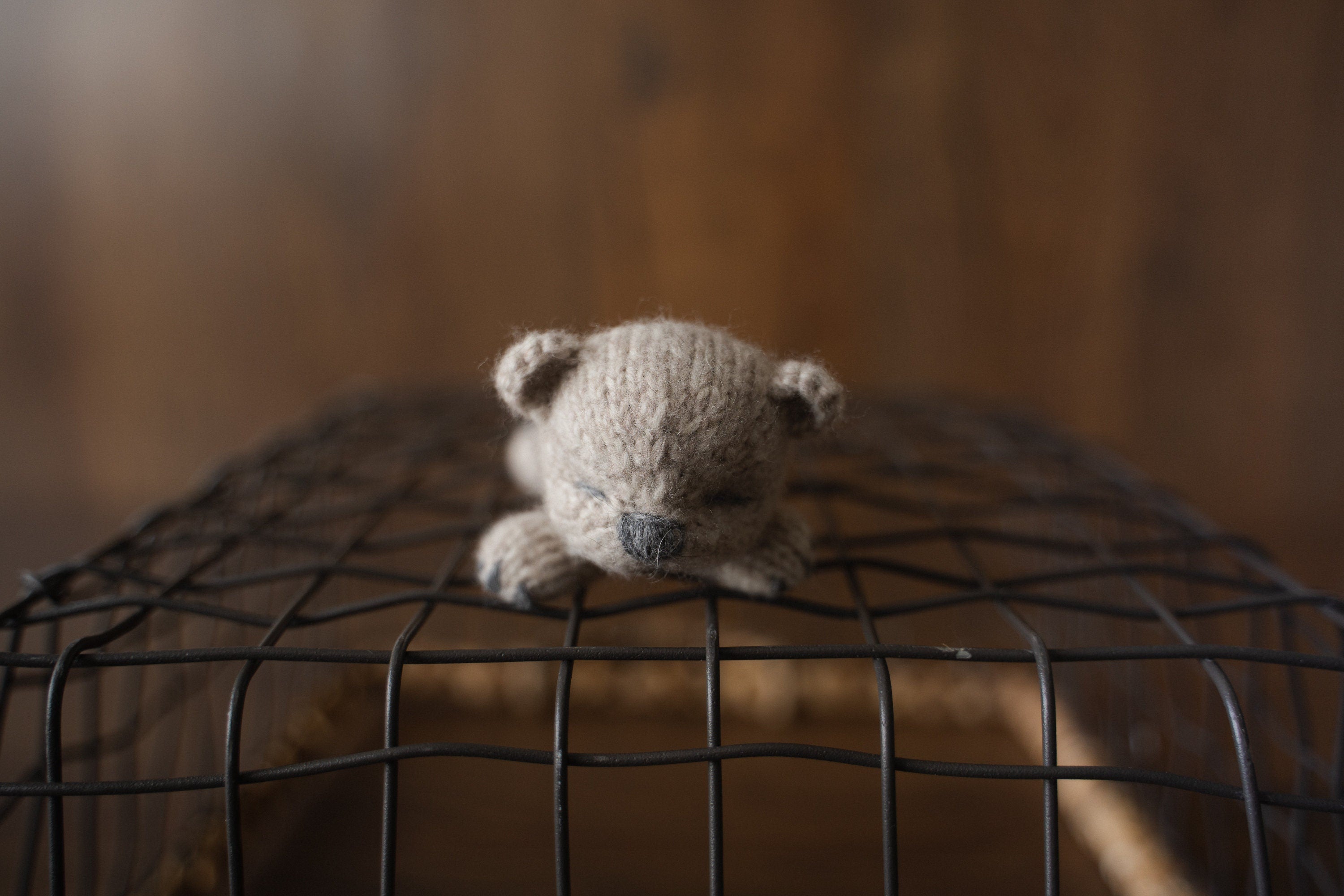 Newborn Knitted Animals Photography Props, Newborn Knit Teddy Bear, Newborn Knit Bunny Toy, Newborn Knit Kitten Toy, Baby Photography Props