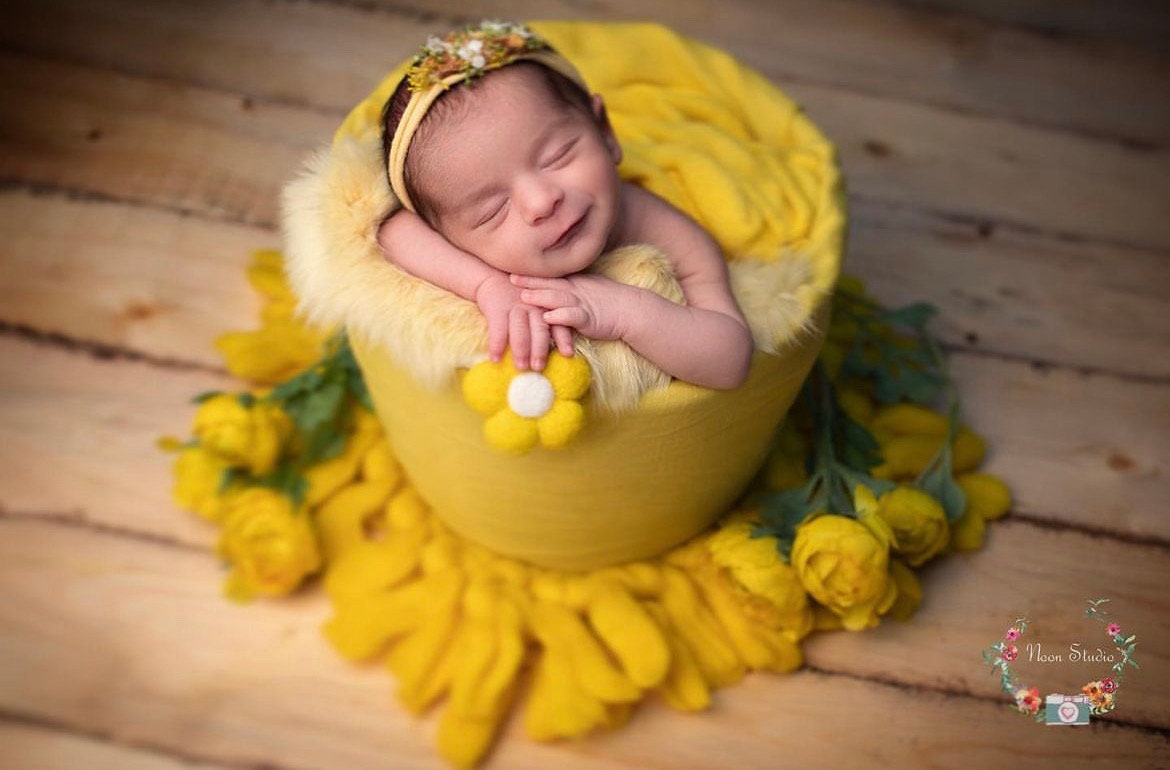 Newborn Felted Flower Photo Toy, Needle Felted Mini Flowers, Newborn Felted Props for Girl, Newborn Photography Props, Felt Flower Decor