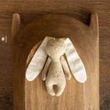 Newborn Linen Stuffed Animal Toys Bear and Bunny Dolls, Hand Embroidered Neutral Unisex Timeless Newborn Teddy Bear Toy, Newborn Bunny Props