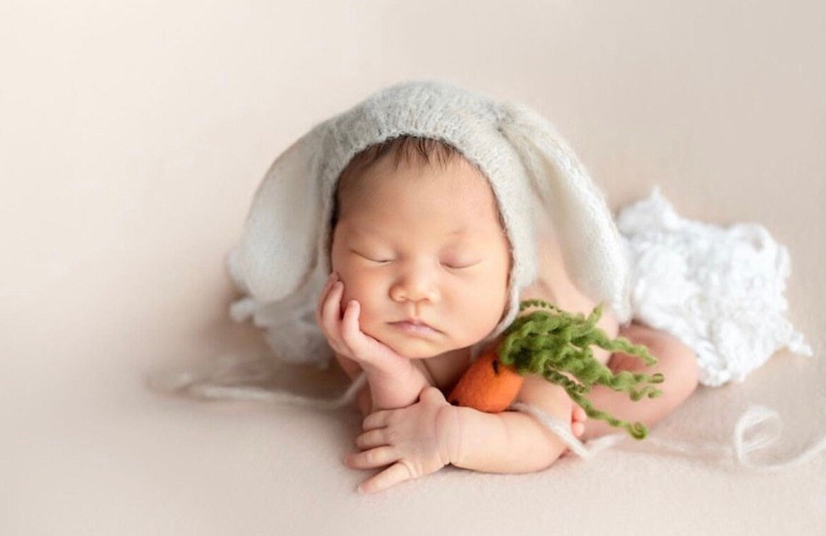 Newborn Felted Carrot Toy,Newborn Felted Props,Newborn Photography Props,Newborn Carrots Props,Newborn Felt Photo Props,Newborn Easter Props