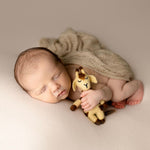 Newborn Felted Animal Toy for Photography, Newborn Felted Lion Toy, Newborn Felted Giraffe Toy,Newborn Felted Horse Toy, Newborn Felted Seal