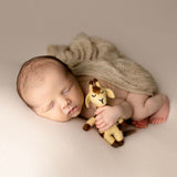 Newborn Felted Animal Toy for Photography, Newborn Felted Lion Toy, Newborn Felted Giraffe Toy,Newborn Felted Horse Toy, Newborn Felted Seal