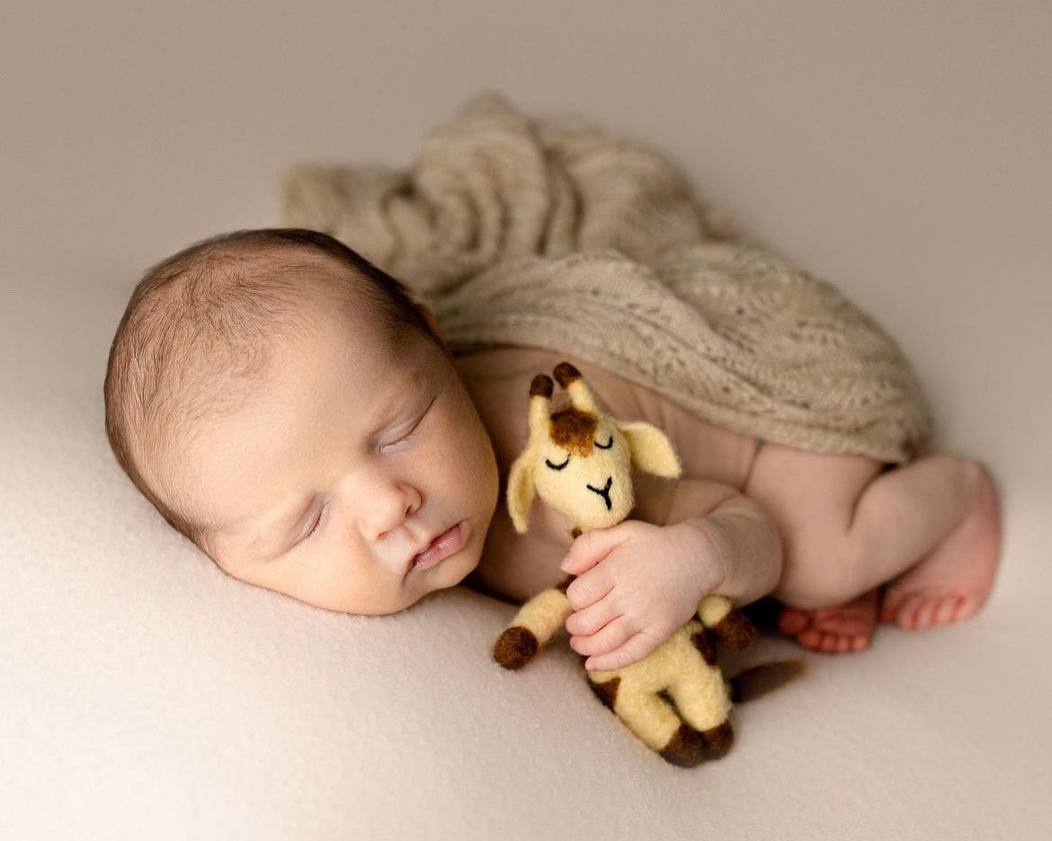 Newborn Felted Animal Toy for Photography, Newborn Felted Lion Toy, Newborn Felted Giraffe Toy,Newborn Felted Horse Toy, Newborn Felted Seal