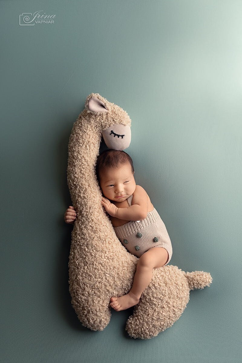 Newborn Animal Posing Pillow for Newborn Photography props, Newborn Sheep Posing Pillow, Newborn Whale Poser Pillow, Newborn Stuffed Animal