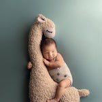 Newborn Animal Posing Pillow for Newborn Photography props, Newborn Sheep Posing Pillow, Newborn Whale Poser Pillow, Newborn Stuffed Animal