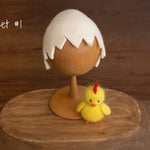 Newborn Egg Costume: Felted Wool Outfit with Hat and Shell Button for Easter Photography Props