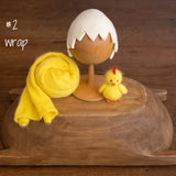 Newborn Egg Costume: Felted Wool Outfit with Hat and Shell Button for Easter Photography Props