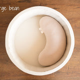 Newborn Filled Posing Beans 5pcs, Contoured Posing Beans Pillows, Newborn Posing Pillows, Newborn posing Beanbag Props, Baby photo prop