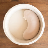 FILLED Newborn Posing Pillows Kit, Butterfly Posing Pillow Newborn, Baby Contoured Pillow, Newborn Posing Bean Bag, Newborn Photography Prop