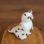 Newborn Wizard Outfit, Newborn Wizard Hat, Newborn Witch Hat, Newborn Felted Photo Prop, Newborn Photography Prop, Newborn Knitted Scarf