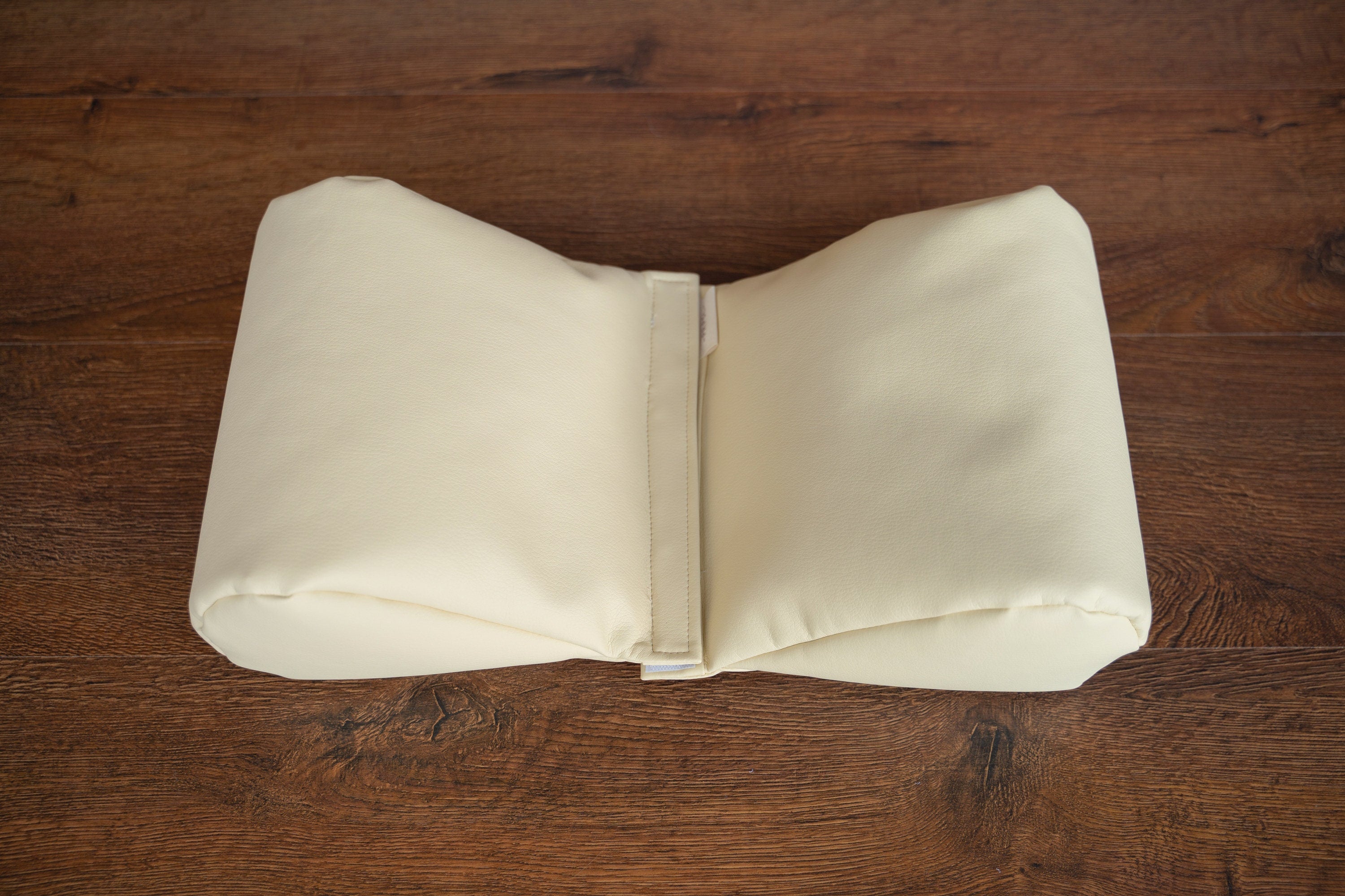 Newborn FILLED Posing Butterfly Pillow, Newborn Butterfly Posing Pillow, Newborn Photography Prop, Newborn Posing Bean bag,Posing Beans Prop