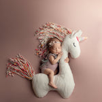 Newborn Unicorn Posing Toy, Newborn Animal Posing Pillow for Newborn Photography prop, Newborn Stuffed Animal Pillow, Newborn Unicorn Pillow