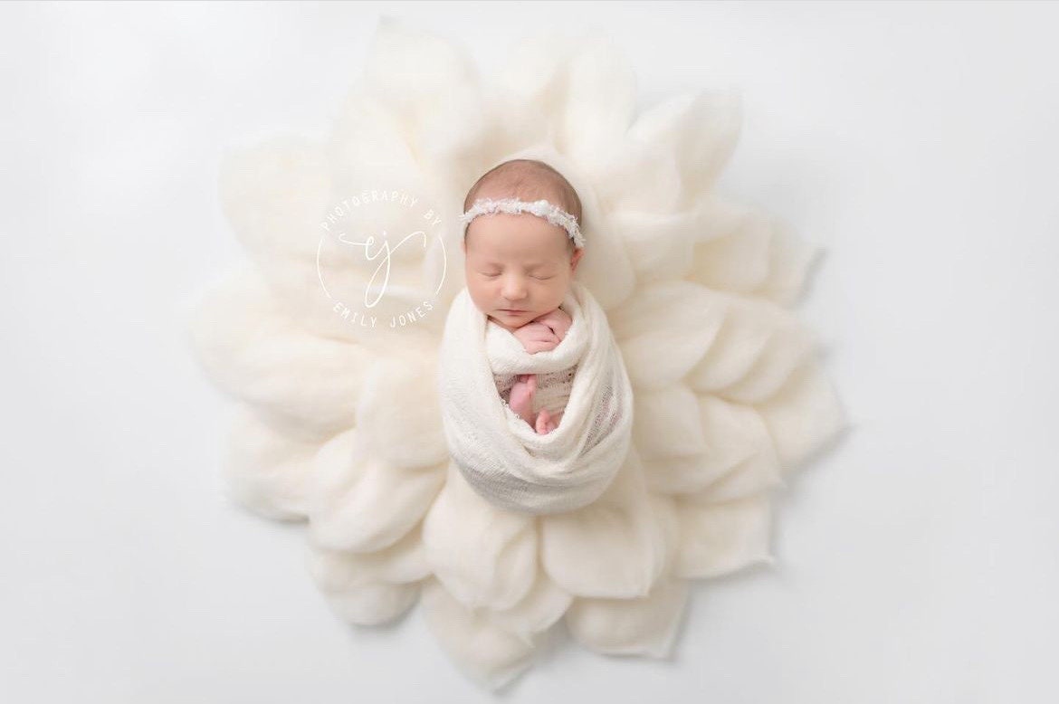 Flower Newborn Merino Wool Felted Rug, Newborn Photography props, Newborn Felted Props Set, Newborn Merino Wool Blanket Flower Girl