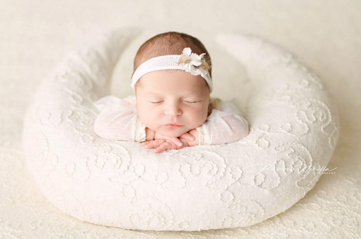 Removable Newborn Moon Pillow with Beanbag Backdrop, Newborn Posing Pillow, Newborn Posing Fabric Backdrop, Newborn Props for Photography
