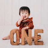 Wooden ONE Sign for First Birthday Decor,1st Birthday One Sign Party Decor for Baby Toddler Birthday,ONE Photo Prop,Personalized Wood Sign