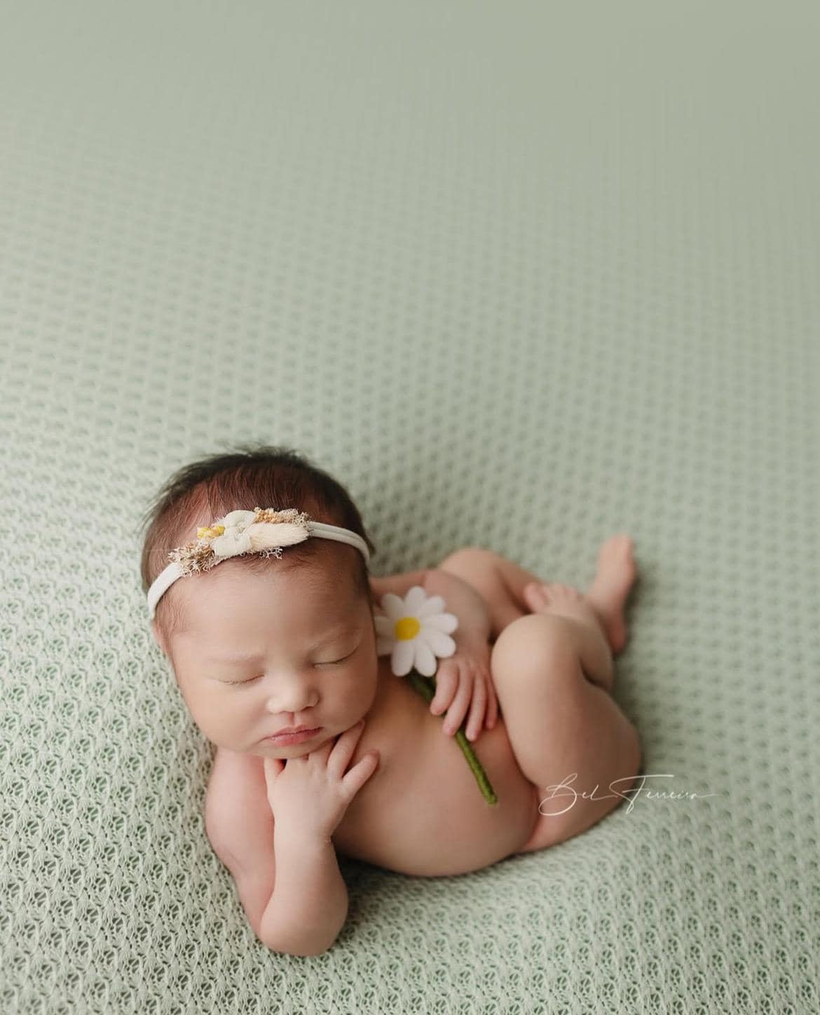 Newborn Felted Flowers Photo Toy, Needle Felted Mini Flowers, Newborn Felted Props for Girl, Newborn Photography Props, Felt Flower Decor