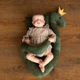 Newborn Snake Posing Toy, Newborn Animal Posing Pillow for Newborn Photography prop, Newborn Stuffed Animal Pillow, Newborn Snake Pillow