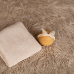 Beige Flokati Newborn Photography Props Set, Newborn Posing Fabric Backdrop, Newborn Fabric Photo Props, Newborn Merino Wool Blanket