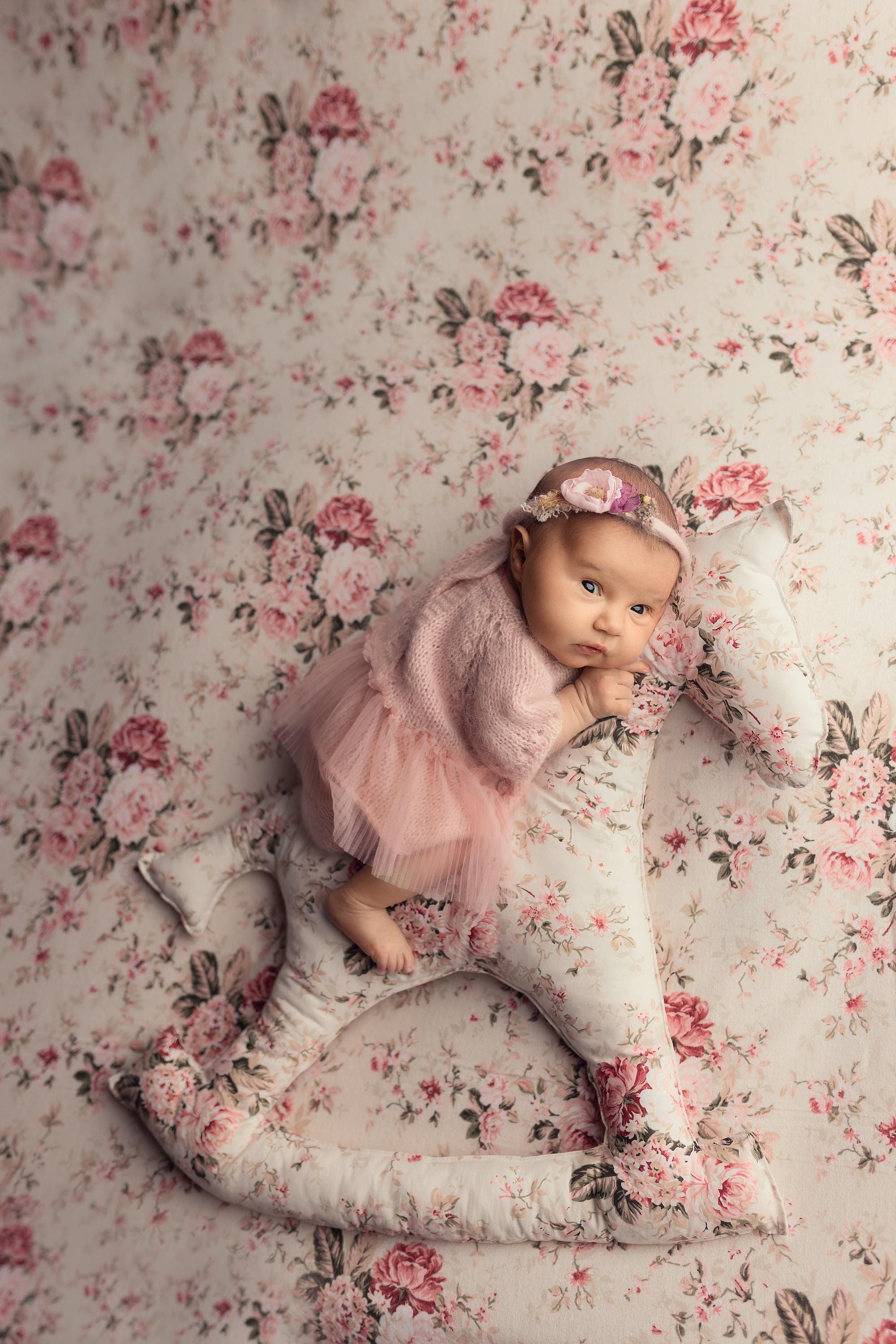 Newborn Horse Posing Toy, Newborn Animal Posing Pillow for Newborn Photography prop, Newborn Stuffed Animal Pillow, Newborn Horse Pillow