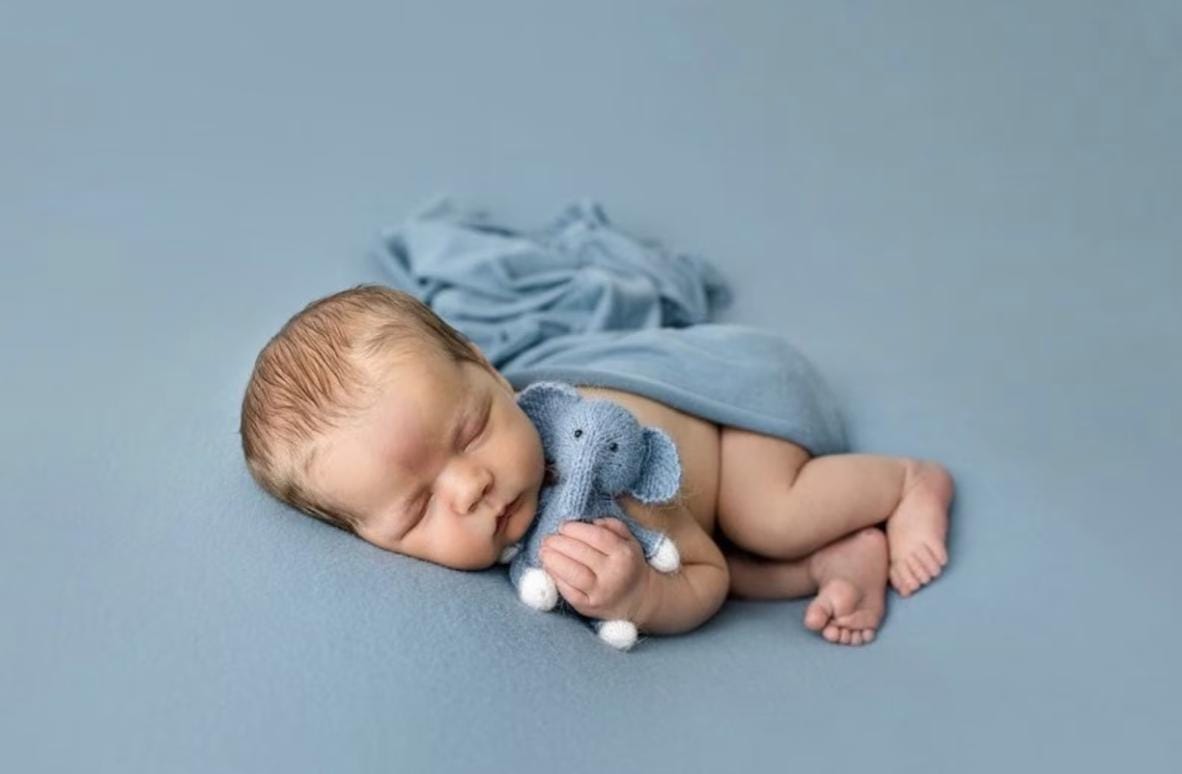 Newborn Elephant Toy for Birthday Gift, Elephant Photo Props, Elephant Crochet Toy, Newborn Photography Props, New Baby Gift Elephant Toy