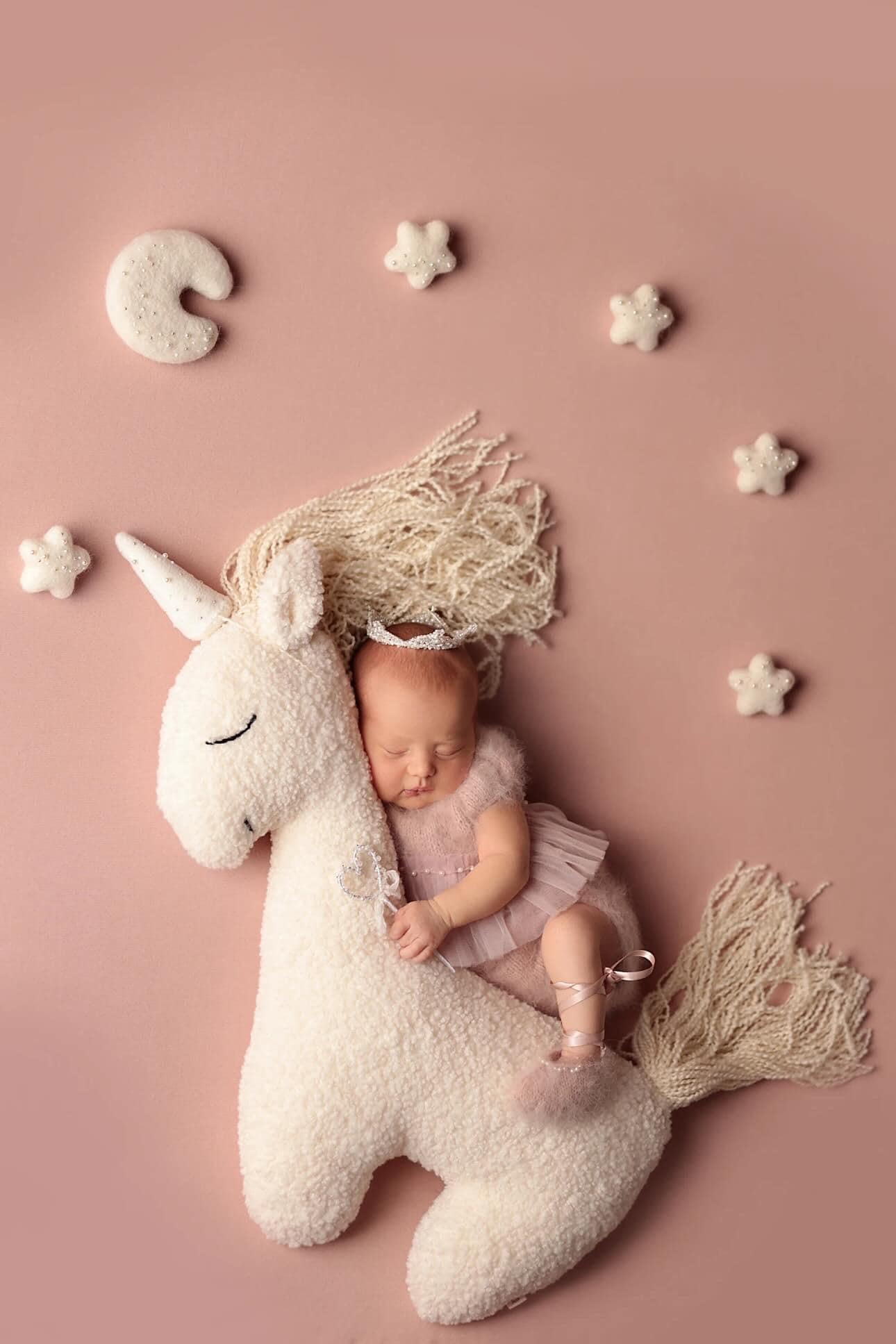 Newborn Unicorn Posing Toy, Newborn Animal Posing Pillow for Newborn Photography prop, Newborn Stuffed Animal Pillow, Newborn Unicorn Pillow