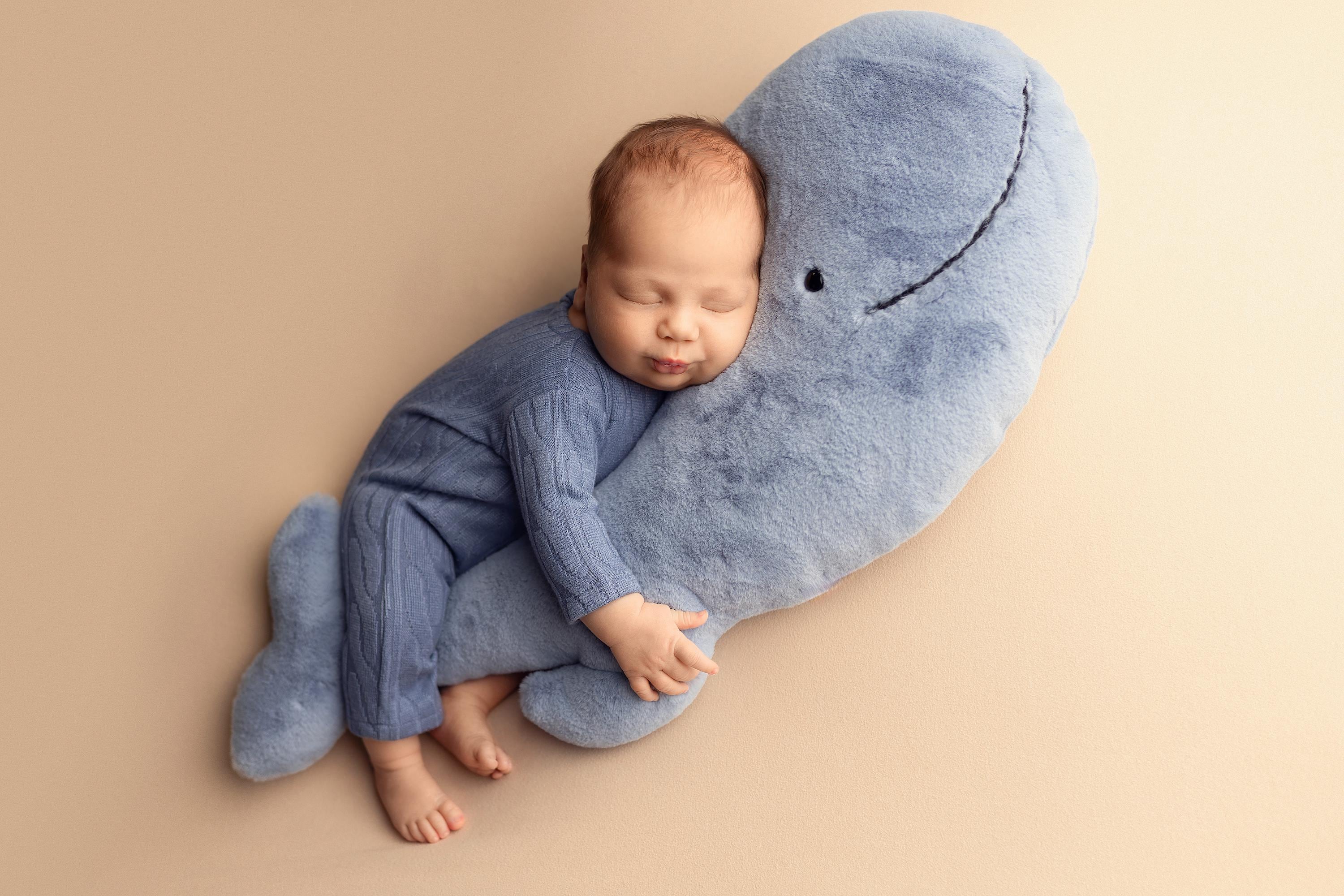 Newborn Animal Posing Pillow for Newborn Photography props, Newborn Sheep Posing Pillow, Newborn Whale Poser Pillow, Newborn Stuffed Animal