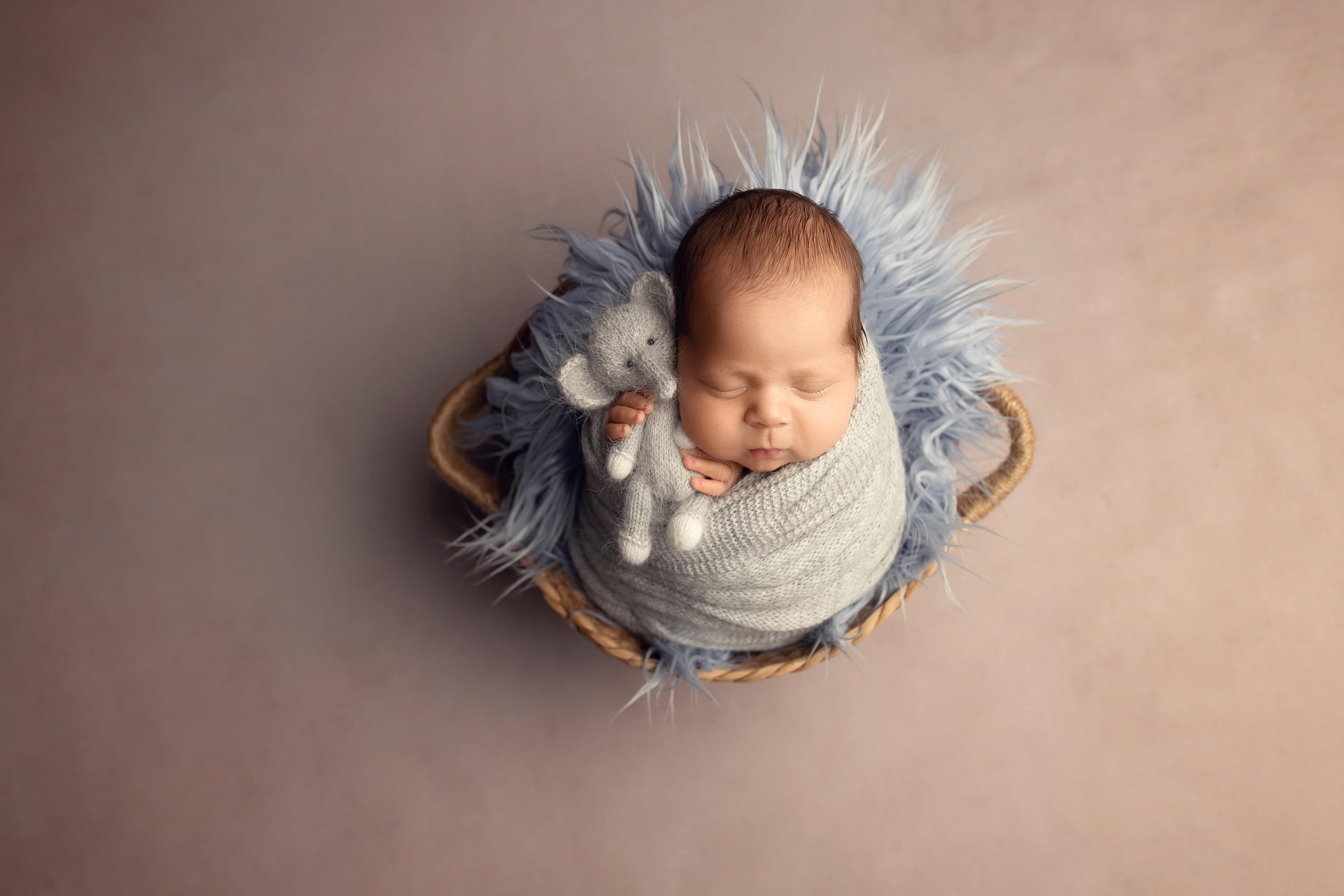 Newborn Elephant Toy for Birthday Gift, Elephant Photo Props, Elephant Crochet Toy, Newborn Photography Props, New Baby Gift Elephant Toy