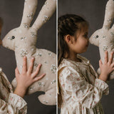 Easter Bunny Pillow for Newborn Photography or Home Decor, Newborn Bunny Toy, Newborn Animal Posing Pillow, Newborn Stuffed Animal Pillow