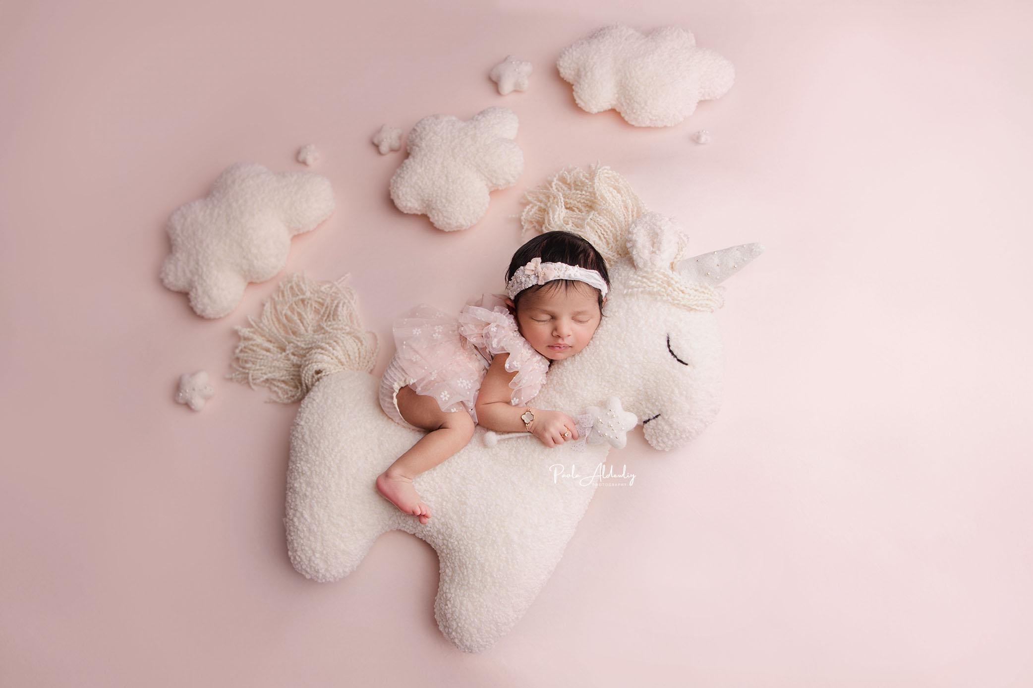 Newborn Unicorn Posing Toy, Newborn Animal Posing Pillow for Newborn Photography prop, Newborn Stuffed Animal Pillow, Newborn Unicorn Pillow