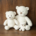 Handmade Boucle Teddy Bears for newborn photography props