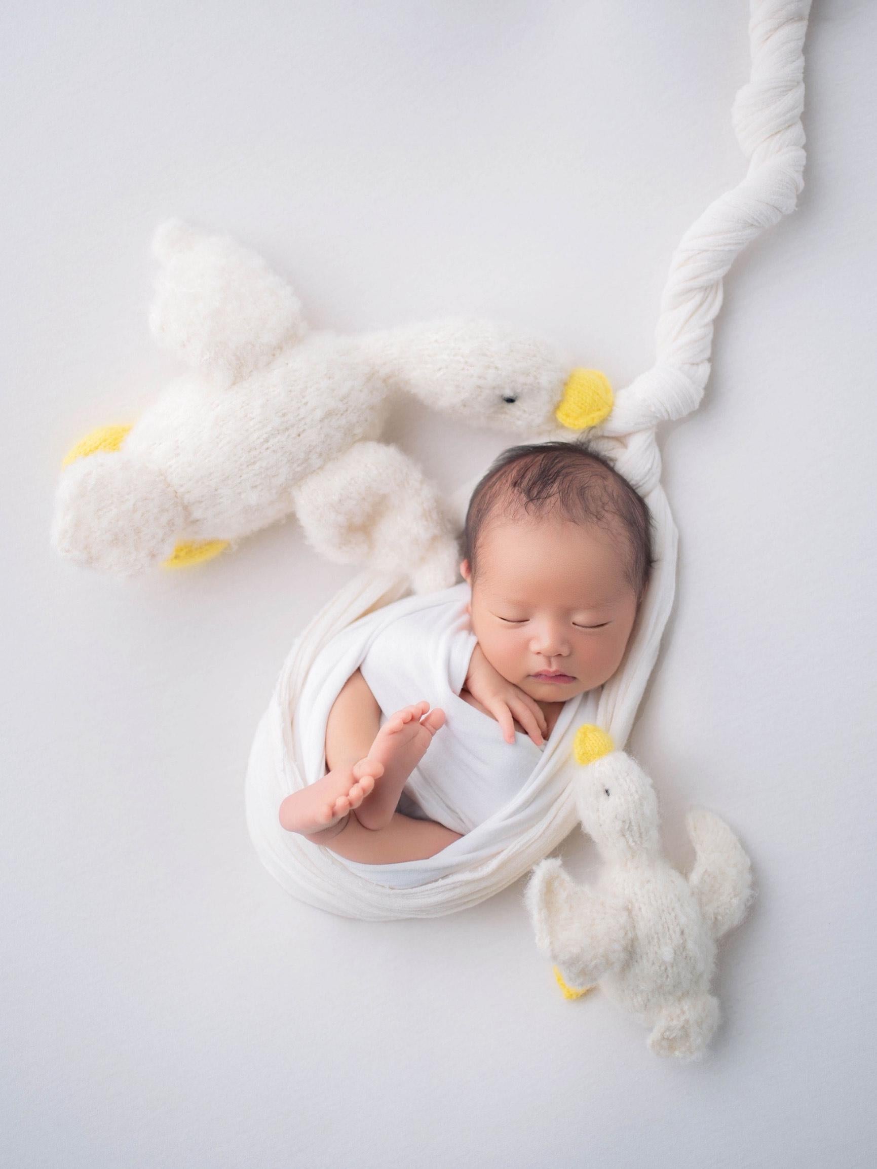 Baby Goose Stuff Animal for Newborn Photography Props, Newborn Knitted Duck Photo Prop, Newborn Goose toy, Baby Comforter Duck toy knitted