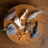 Felted Wool Sea Animals Toy for Newborn Photography Props (Shark, Dolphin, Whale, Seal, Turtle, Koi Fish, Stingray, Starfish)